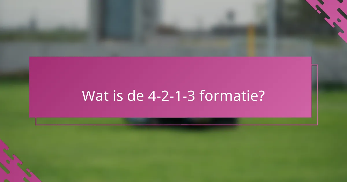 Wat is de 4-2-1-3 formatie?